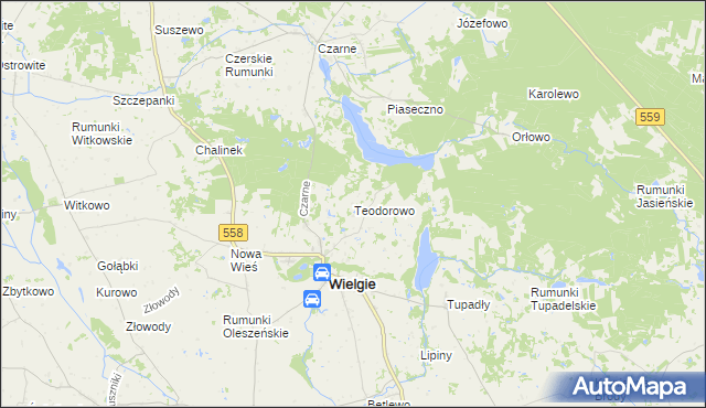 mapa Teodorowo gmina Wielgie, Teodorowo gmina Wielgie na mapie Targeo