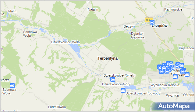 mapa Terpentyna, Terpentyna na mapie Targeo