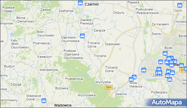 mapa Trzciana gmina Czermin, Trzciana gmina Czermin na mapie Targeo