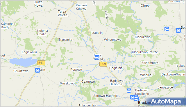 mapa Turza Wielka gmina Brudzeń Duży, Turza Wielka gmina Brudzeń Duży na mapie Targeo