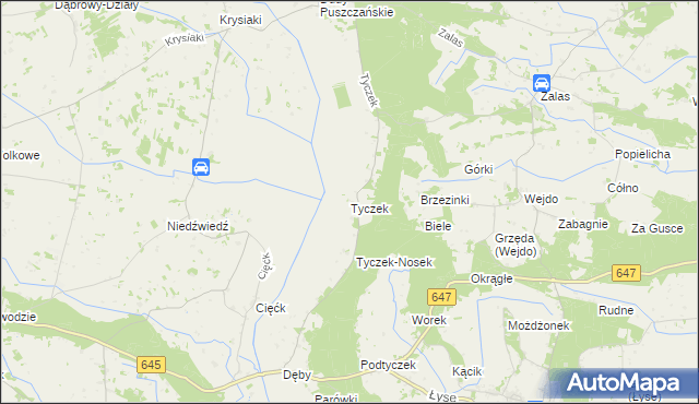 mapa Tyczek, Tyczek na mapie Targeo