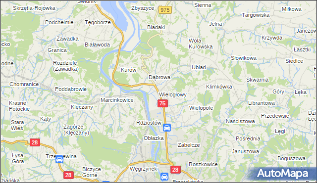 mapa Wielogłowy gmina Chełmiec, Wielogłowy gmina Chełmiec na mapie Targeo