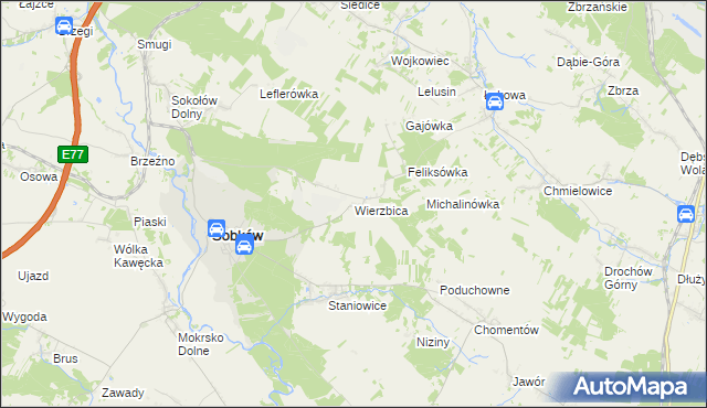 mapa Wierzbica gmina Sobków, Wierzbica gmina Sobków na mapie Targeo