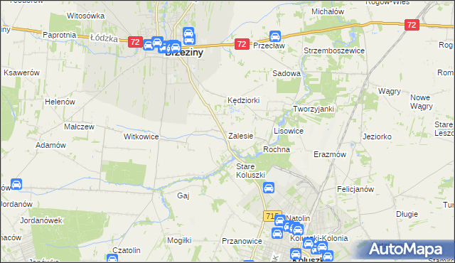 mapa Zalesie gmina Brzeziny, Zalesie gmina Brzeziny na mapie Targeo