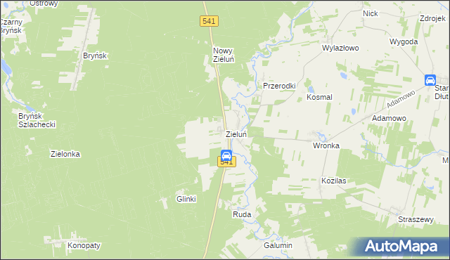 mapa Zieluń, Zieluń na mapie Targeo