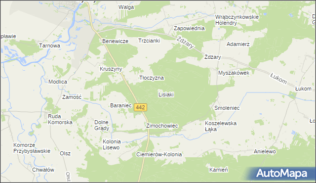 mapa Lisiaki gmina Pyzdry, Lisiaki gmina Pyzdry na mapie Targeo