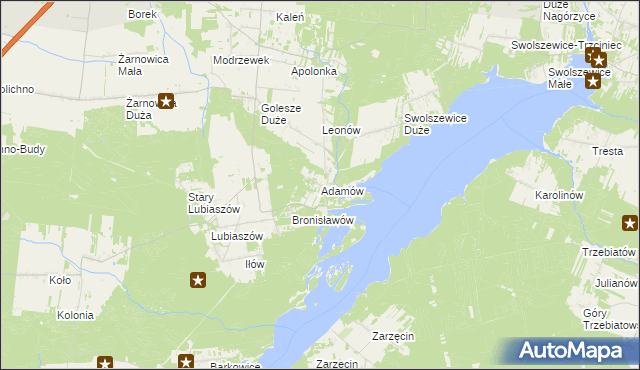 mapa Adamów gmina Wolbórz, Adamów gmina Wolbórz na mapie Targeo