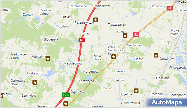 mapa Biała Róża gmina Rozprza, Biała Róża gmina Rozprza na mapie Targeo