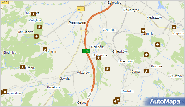 mapa Bolkowice gmina Paszowice, Bolkowice gmina Paszowice na mapie Targeo