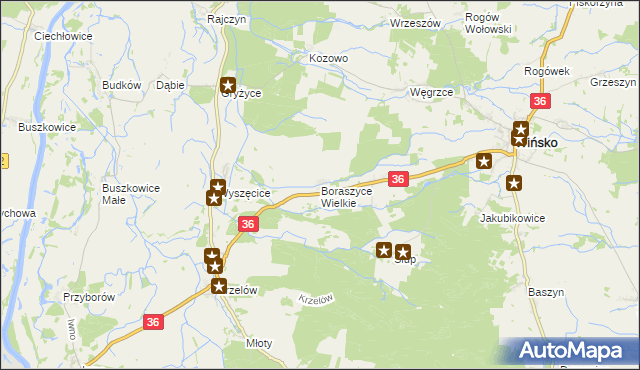 mapa Boraszyce Wielkie, Boraszyce Wielkie na mapie Targeo