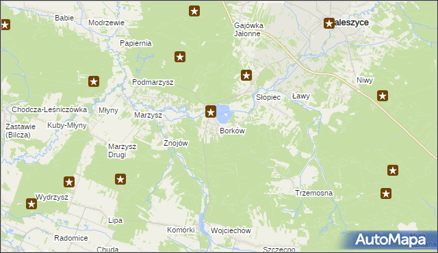 mapa Borków gmina Daleszyce, Borków gmina Daleszyce na mapie Targeo