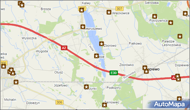 mapa Cieśle gmina Buk, Cieśle gmina Buk na mapie Targeo