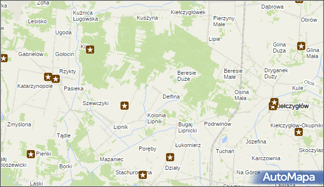 mapa Delfina gmina Siemkowice, Delfina gmina Siemkowice na mapie Targeo