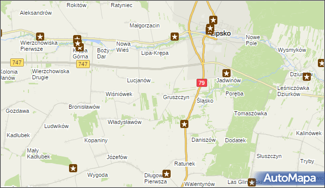 mapa Gruszczyn gmina Lipsko, Gruszczyn gmina Lipsko na mapie Targeo