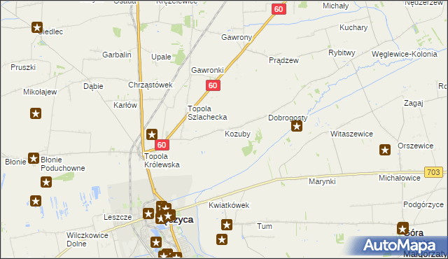 mapa Kozuby gmina Łęczyca, Kozuby gmina Łęczyca na mapie Targeo