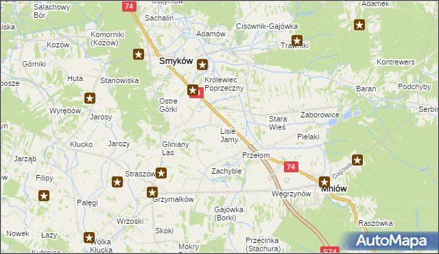 mapa Lisie Jamy gmina Mniów, Lisie Jamy gmina Mniów na mapie Targeo