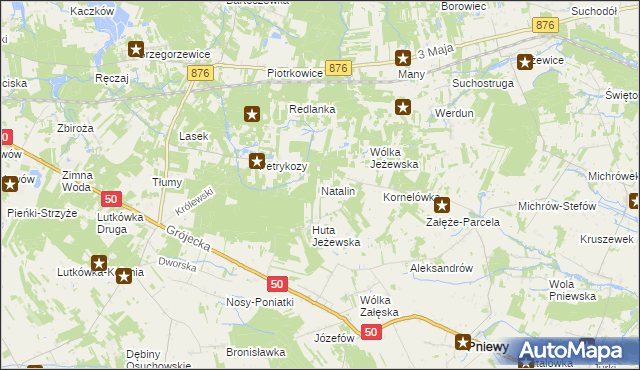 mapa Natalin gmina Pniewy, Natalin gmina Pniewy na mapie Targeo