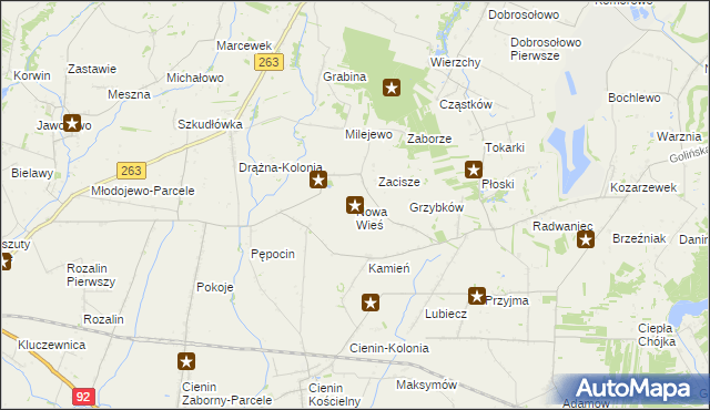 mapa Nowa Wieś gmina Słupca, Nowa Wieś gmina Słupca na mapie Targeo