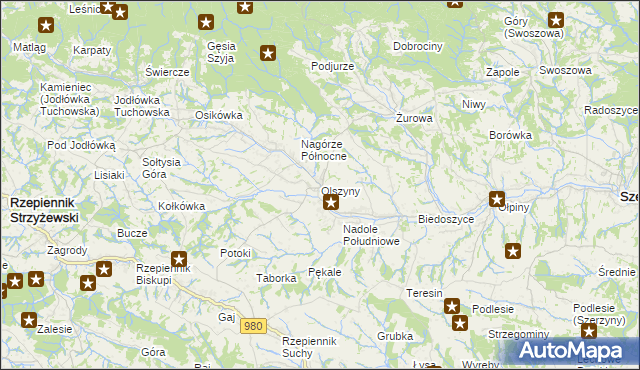mapa Olszyny gmina Rzepiennik Strzyżewski, Olszyny gmina Rzepiennik Strzyżewski na mapie Targeo