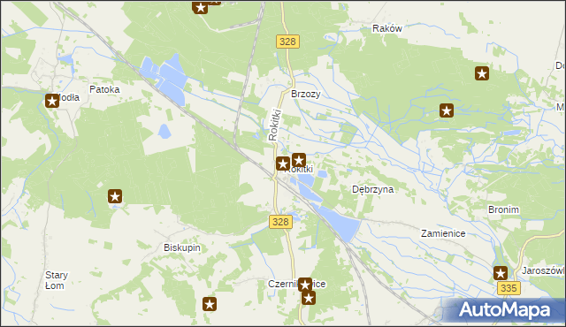 mapa Rokitki gmina Chojnów, Rokitki gmina Chojnów na mapie Targeo
