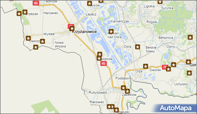 mapa Roszków gmina Krzyżanowice, Roszków gmina Krzyżanowice na mapie Targeo
