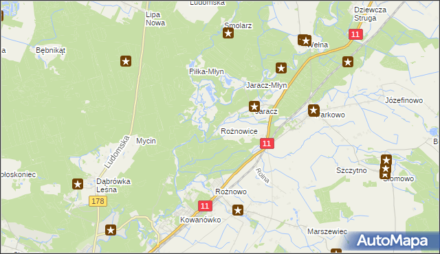 mapa Rożnowice gmina Rogoźno, Rożnowice gmina Rogoźno na mapie Targeo