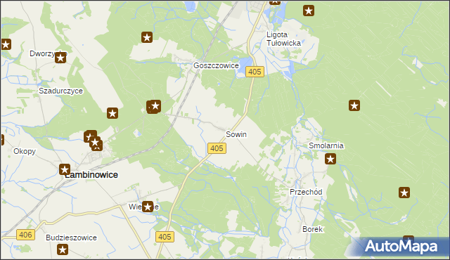 mapa Sowin gmina Łambinowice, Sowin gmina Łambinowice na mapie Targeo