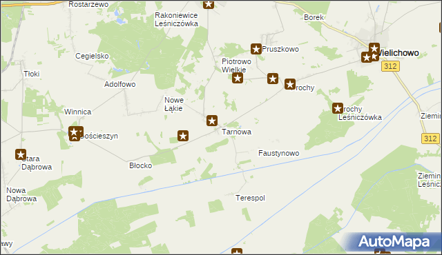 mapa Tarnowa gmina Rakoniewice, Tarnowa gmina Rakoniewice na mapie Targeo