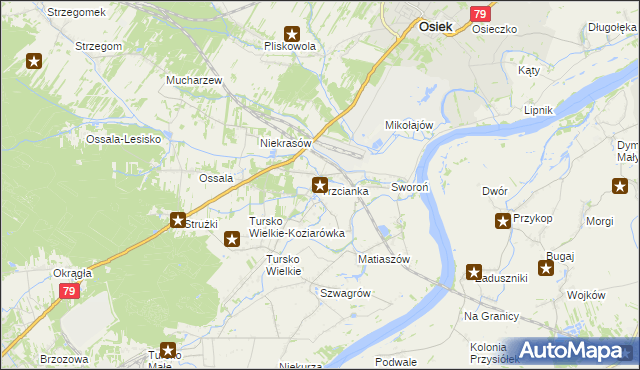 mapa Trzcianka gmina Osiek, Trzcianka gmina Osiek na mapie Targeo