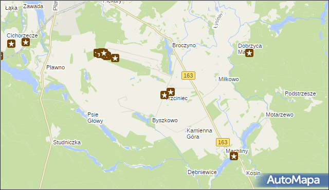 mapa Trzciniec gmina Czaplinek, Trzciniec gmina Czaplinek na mapie Targeo