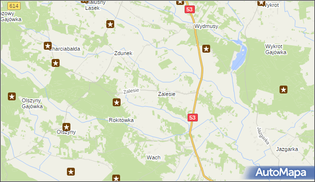 mapa Zalesie gmina Myszyniec, Zalesie gmina Myszyniec na mapie Targeo