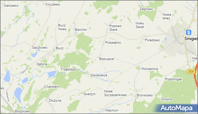 mapa Biskupice gmina Przemęt, Biskupice gmina Przemęt na mapie Targeo