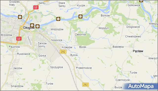mapa Borek gmina Głogów, Borek gmina Głogów na mapie Targeo