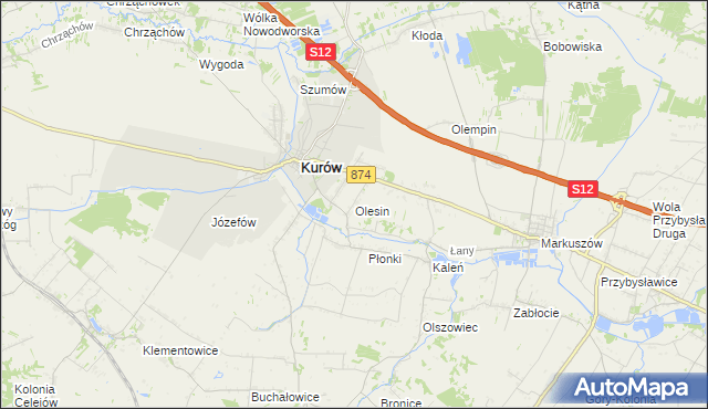 mapa Olesin gmina Kurów, Olesin gmina Kurów na mapie Targeo