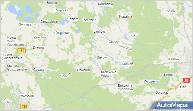 mapa Bąków gmina Międzybórz, Bąków gmina Międzybórz na mapie Targeo