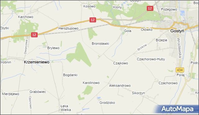 mapa Witoldowo gmina Gostyń, Witoldowo gmina Gostyń na mapie Targeo