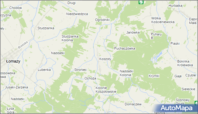 mapa Koszoły, Koszoły na mapie Targeo