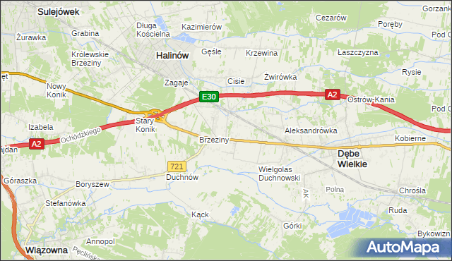 mapa Wielgolas Brzeziński, Wielgolas Brzeziński na mapie Targeo