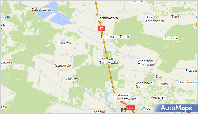 mapa Dąbrowa Tarnawacka, Dąbrowa Tarnawacka na mapie Targeo