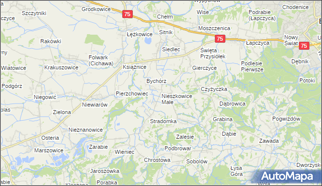 mapa Nieszkowice Małe, Nieszkowice Małe na mapie Targeo