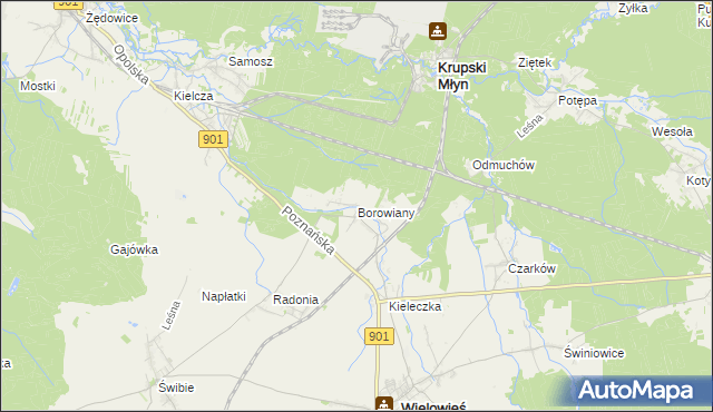 mapa Borowiany, Borowiany na mapie Targeo