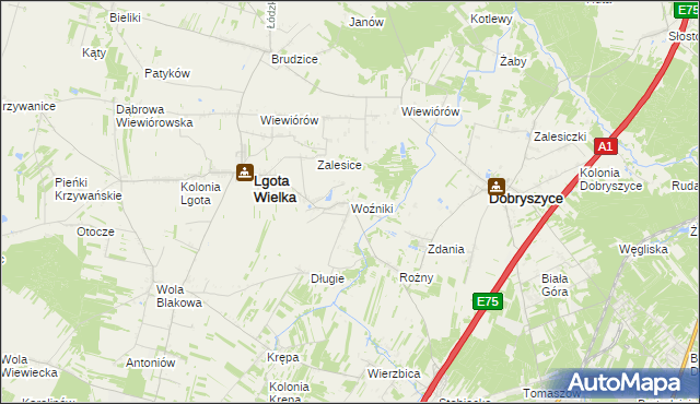 mapa Woźniki gmina Lgota Wielka, Woźniki gmina Lgota Wielka na mapie Targeo