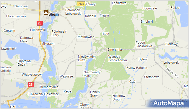 mapa Wygoda gmina Ślesin, Wygoda gmina Ślesin na mapie Targeo