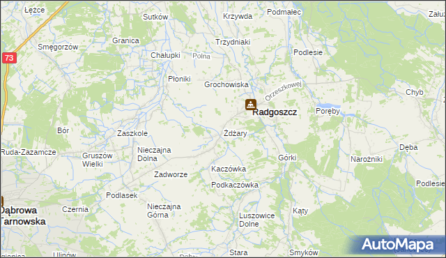 mapa Żdżary gmina Radgoszcz, Żdżary gmina Radgoszcz na mapie Targeo