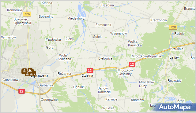 mapa Bielowice gmina Opoczno, Bielowice gmina Opoczno na mapie Targeo