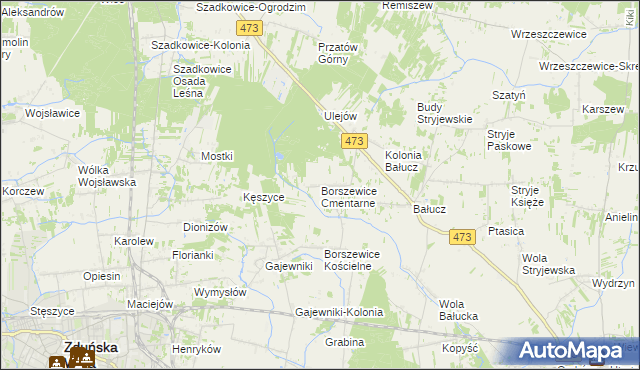 mapa Borszewice Cmentarne, Borszewice Cmentarne na mapie Targeo