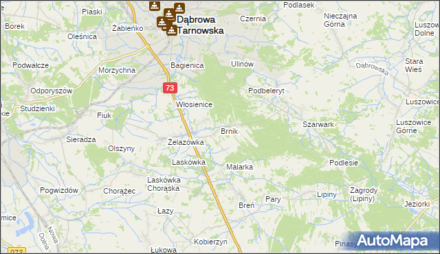 mapa Brnik, Brnik na mapie Targeo