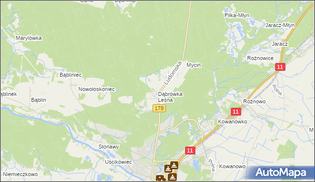 mapa Dąbrówka Leśna, Dąbrówka Leśna na mapie Targeo