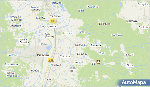 mapa Dobrynin, Dobrynin na mapie Targeo