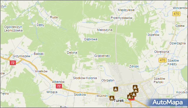 mapa Grabieniec gmina Turek, Grabieniec gmina Turek na mapie Targeo
